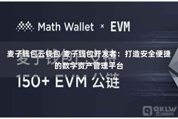 麦子钱包云钱包 麦子钱包开发者：打造安全便捷的数字资产管理平台