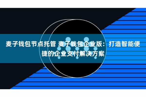 麦子钱包节点托管 麦子钱包企业版：打造智能便捷的企业支付解决方案