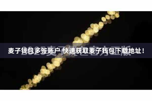 麦子钱包多签账户 快速获取麦子钱包下载地址！