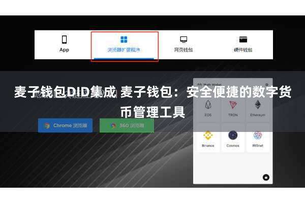 麦子钱包DID集成 麦子钱包：安全便捷的数字货币管理工具