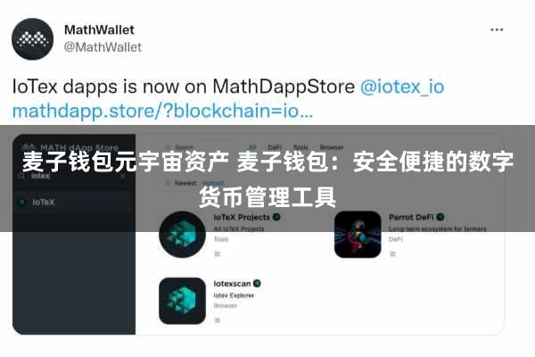 麦子钱包元宇宙资产 麦子钱包：安全便捷的数字货币管理工具