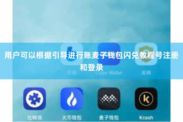 用户可以根据引导进行账麦子钱包闪兑教程号注册和登录