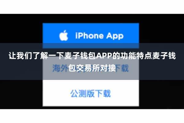 让我们了解一下麦子钱包APP的功能特点麦子钱包交易所对接