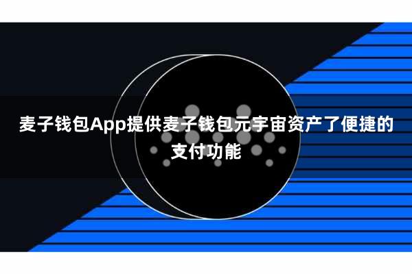麦子钱包App提供麦子钱包元宇宙资产了便捷的支付功能