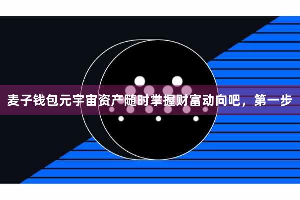 麦子钱包元宇宙资产随时掌握财富动向吧,第一步