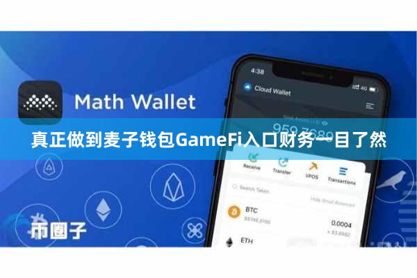 真正做到麦子钱包GameFi入口财务一目了然