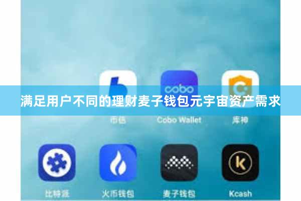满足用户不同的理财麦子钱包元宇宙资产需求