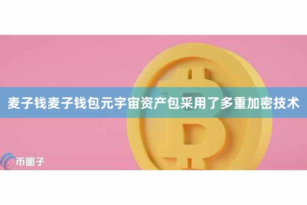 麦子钱麦子钱包元宇宙资产包采用了多重加密技术