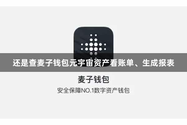 还是查麦子钱包元宇宙资产看账单、生成报表