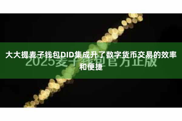 大大提麦子钱包DID集成升了数字货币交易的效率和便捷