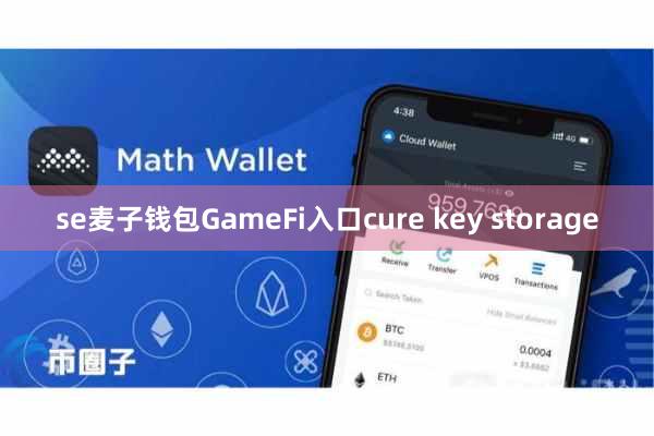 se麦子钱包GameFi入口cure key storage