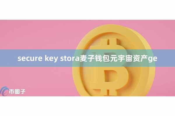 secure key stora麦子钱包元宇宙资产ge