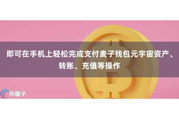 即可在手机上轻松完成支付麦子钱包元宇宙资产、转账、充值等操作