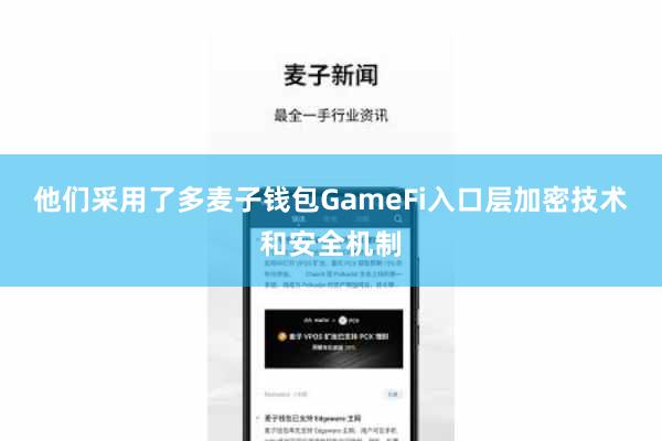 他们采用了多麦子钱包GameFi入口层加密技术和安全机制